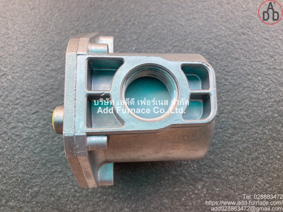 Pietro Fiorentini Gas Filter FMF1060300IA (3)